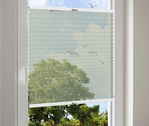 Plissee Cosiflor in Hellgrün am Fenster, lichtdurchlässig mit Blick nach draußen