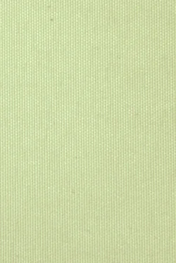 Lamellenmuster B0788