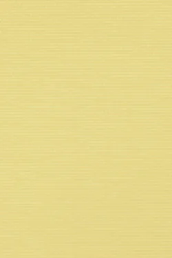 Lamellenmuster B0774