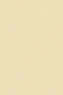 Lamellenmuster 1124