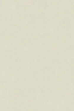 Lamellenmuster B3566