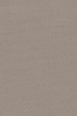 Lamellenmuster 6309