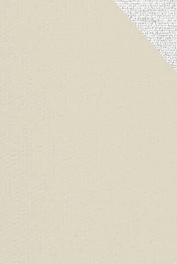 Muster Stoff Beige | 3358